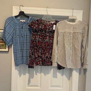 LOFT Women's Blouses - Blue Plaid, Black Floral, White Striped